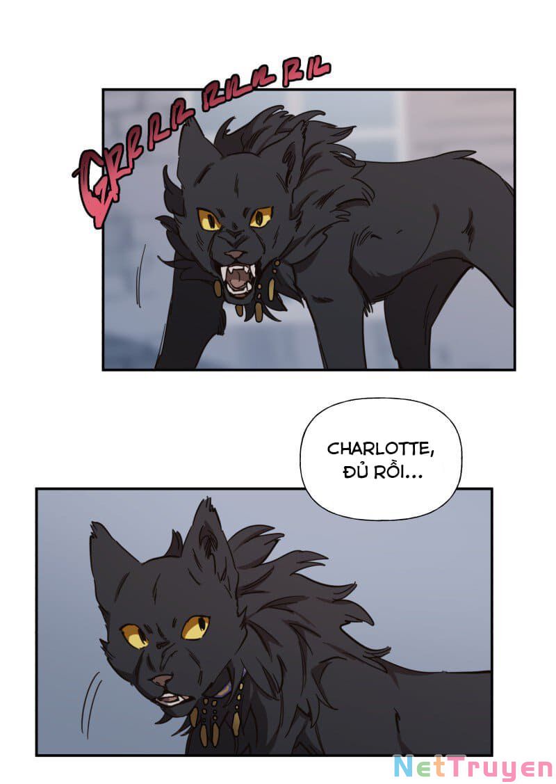 lumine - cội nguồn ánh sáng chapter 78 5