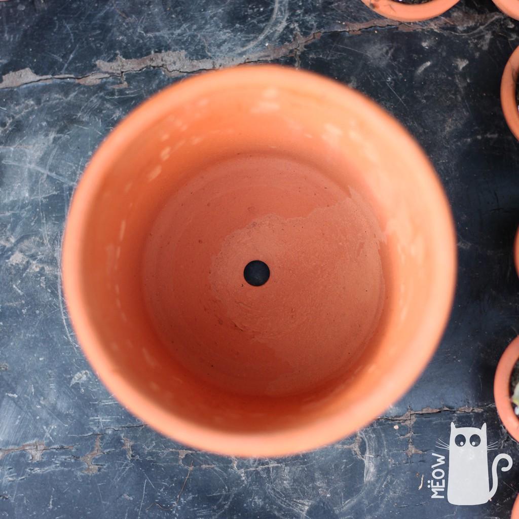 Chậu đất nung Ly trung 13x11 | Chậu trồng cây, sen đá, xương rồng