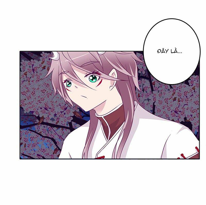 tướng quân mời ra trận chapter 43 14