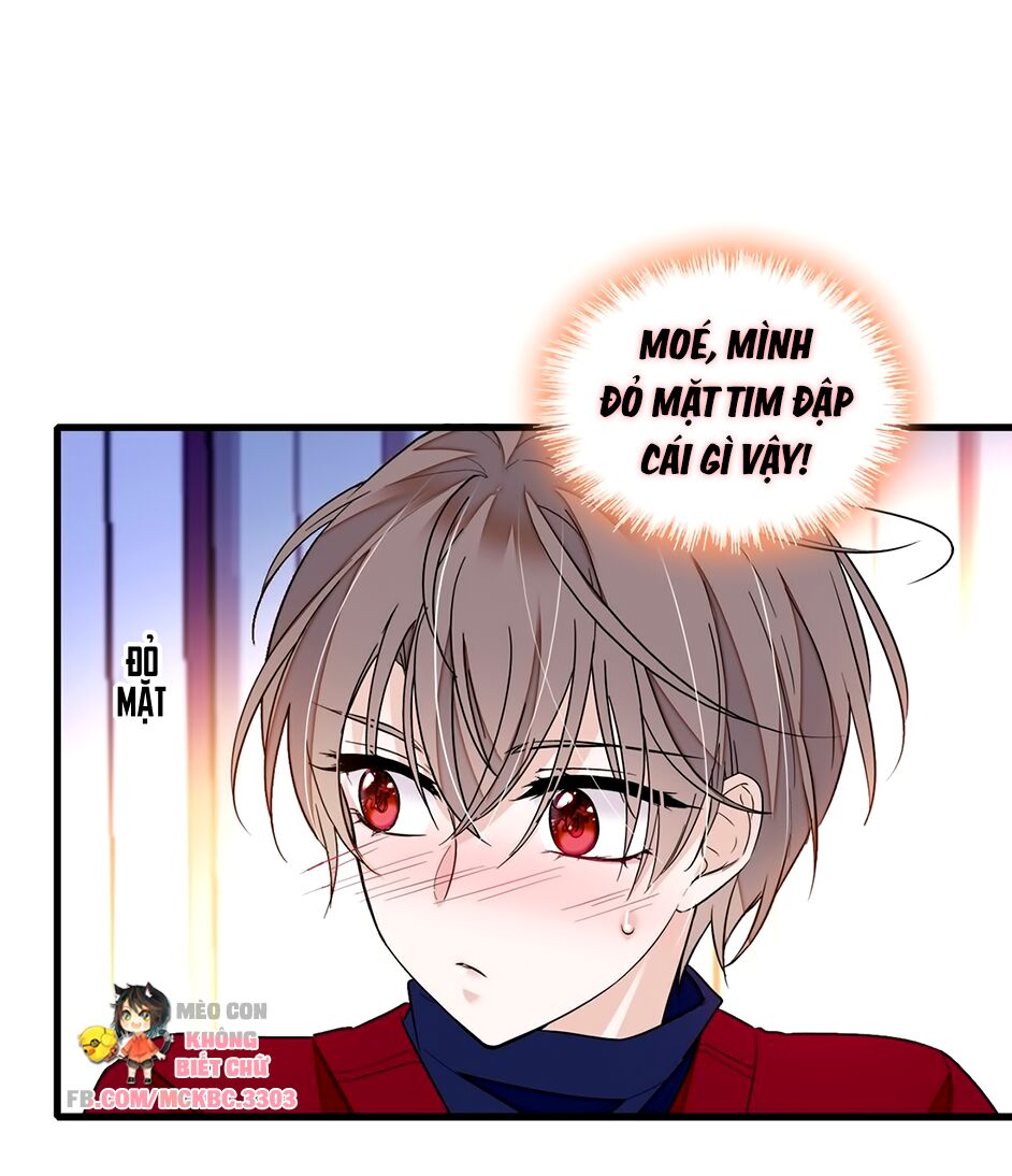 long phượng phiên chuyển chapter 50 16