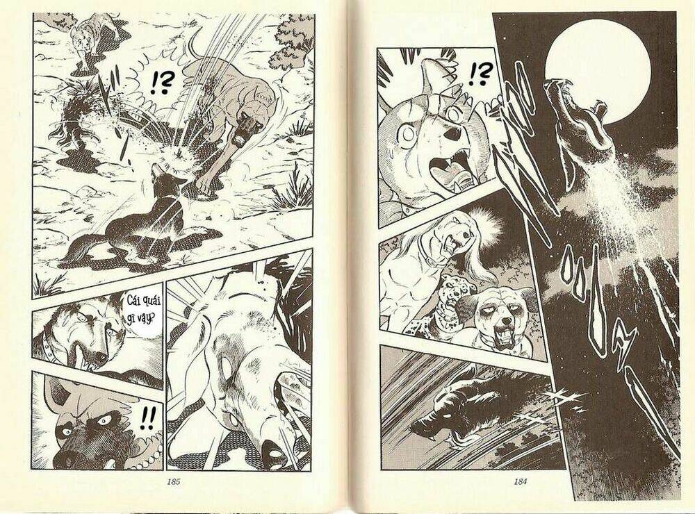 chú chó có nghĩa - ginga nagareboshi gin chapter 10 14