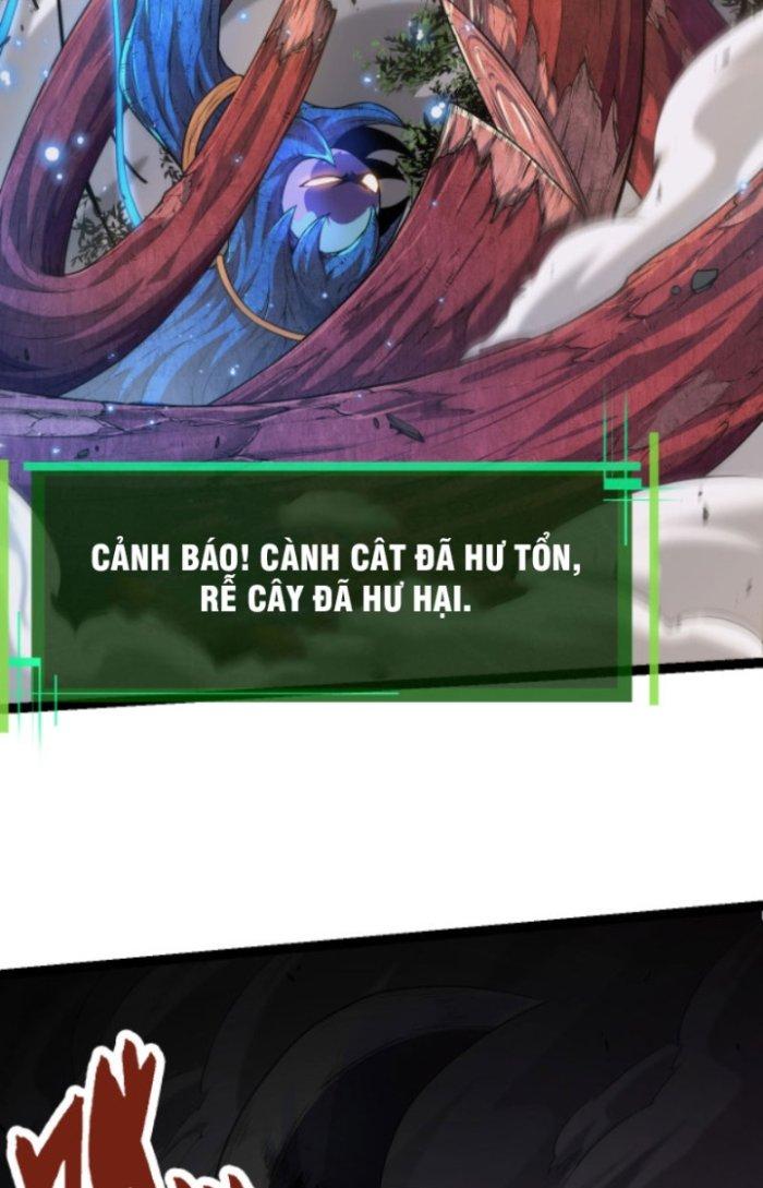 từ cây cổ thụ bắt đầu tiến hóa chapter 5 14