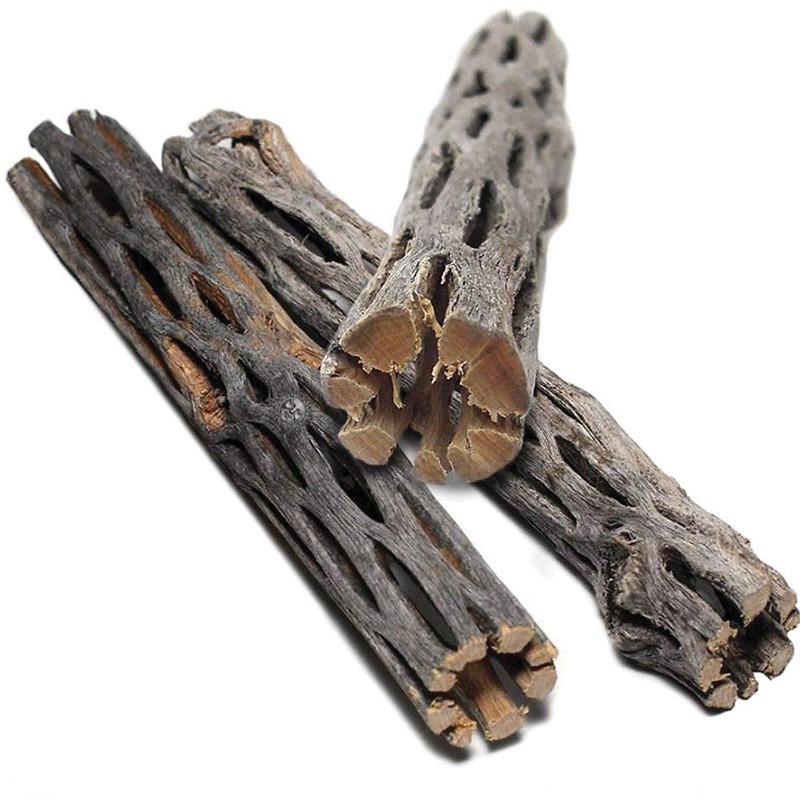 Lũa CHOLLA cho tép cảnh - LŨA XƯƠNG RỒNG STAGHORN CHOLLA CACTUS WOOD