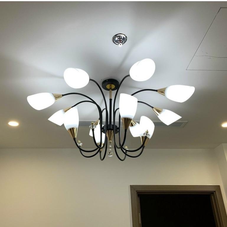 Đèn chùm LYSI treo trần phong cách hiện đại mới tạo điểm nhấn mới lạ cho không gian nội thất nhà bạn