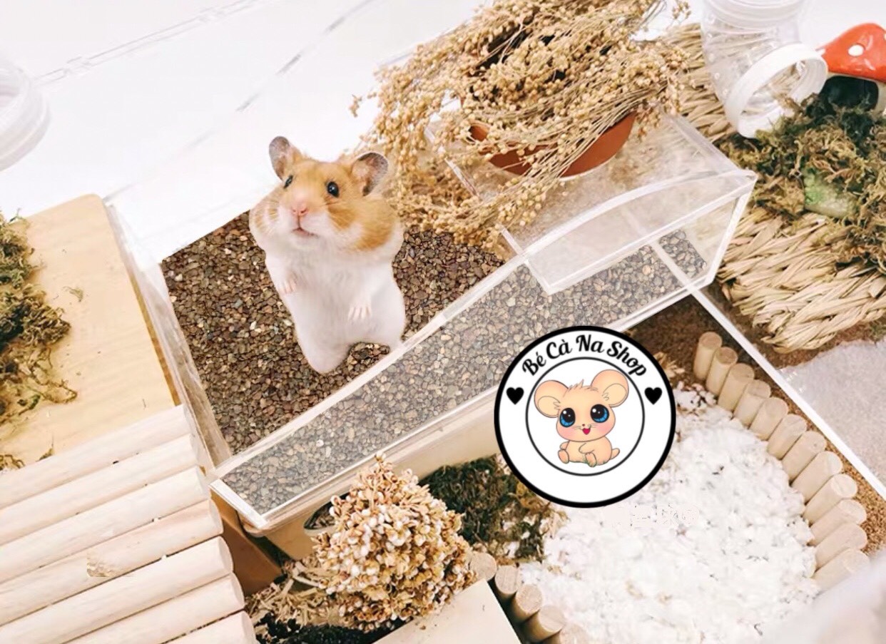 Cát buddy ấn cho hamster bao 1kg