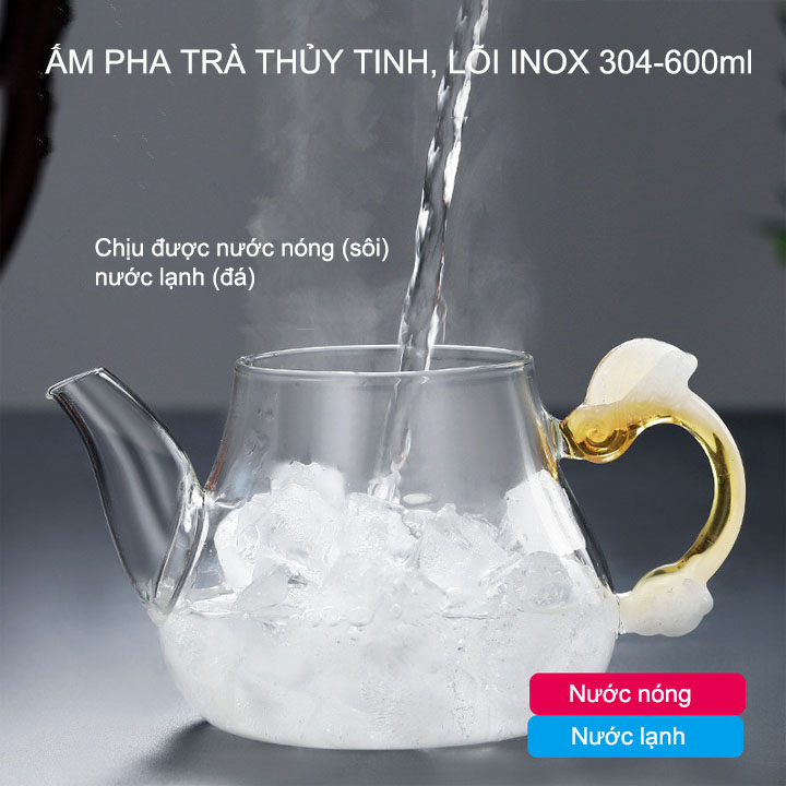 Ấm pha trà bằng thủy tinh có bộ lọc bằng inox 304, loại dung tích 600ml