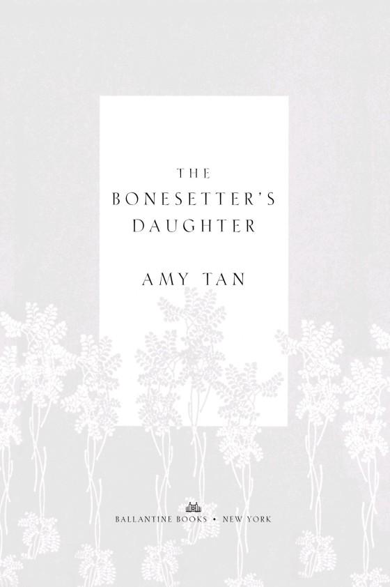 The Bonesetter's Daughter