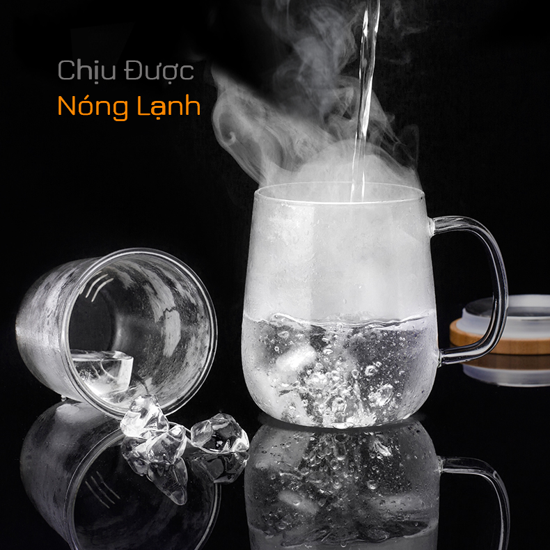 Ly lọc trà lõi thủy tinh chịu nhiệt lõi thủy tinh S024 500ml