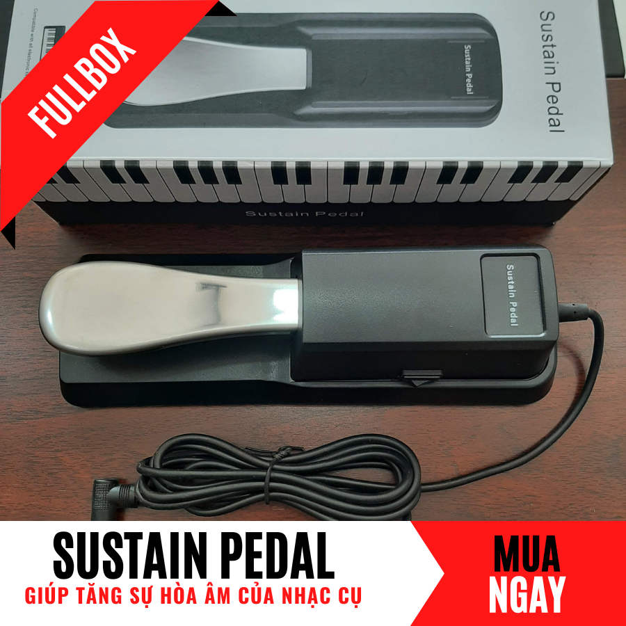 Pedal Dậm Vang Cho Đàn Organ Và Piano Điện (Fullbox)