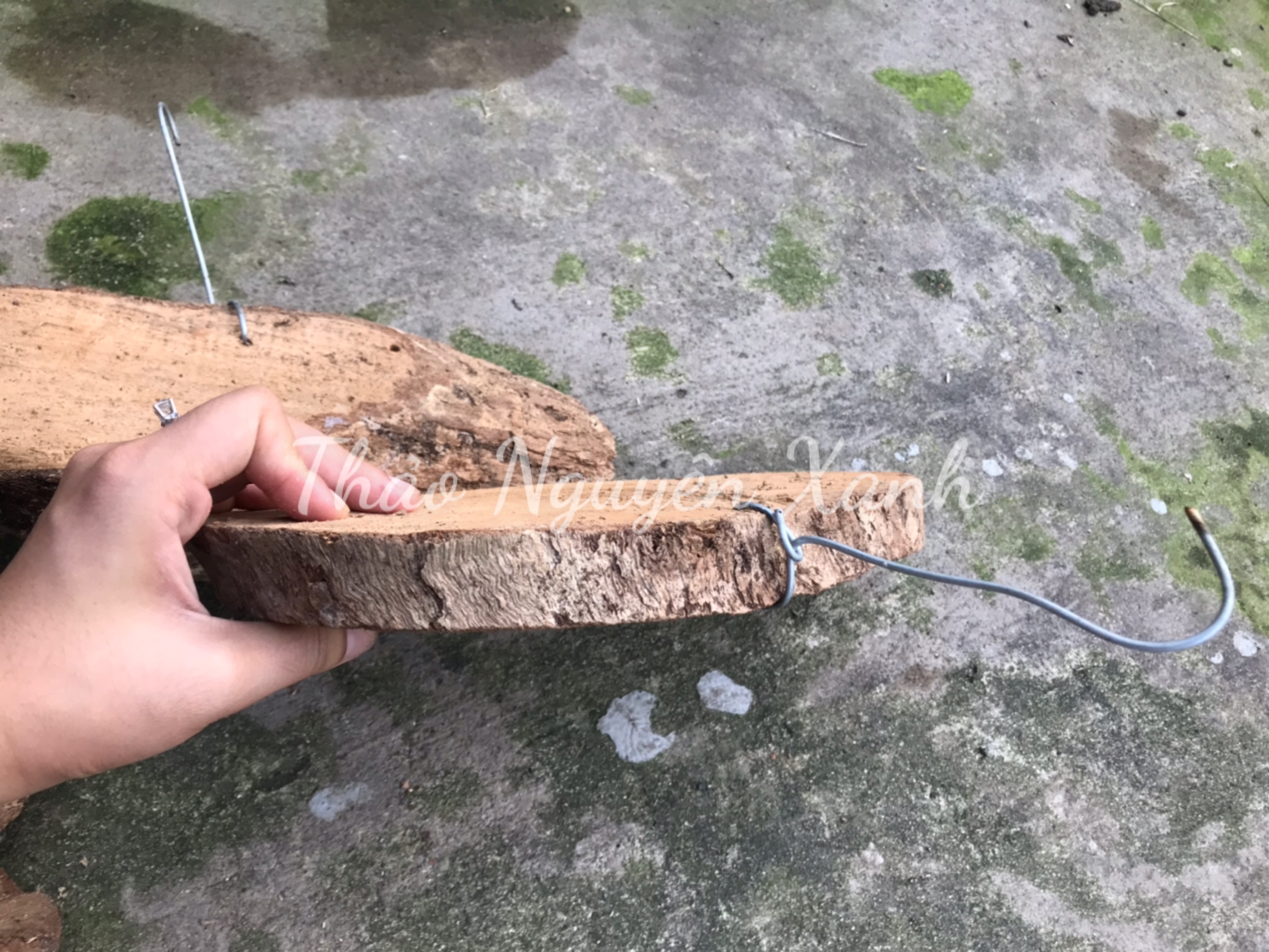 Bảng Gỗ Vú Sữa Có Móc Treo