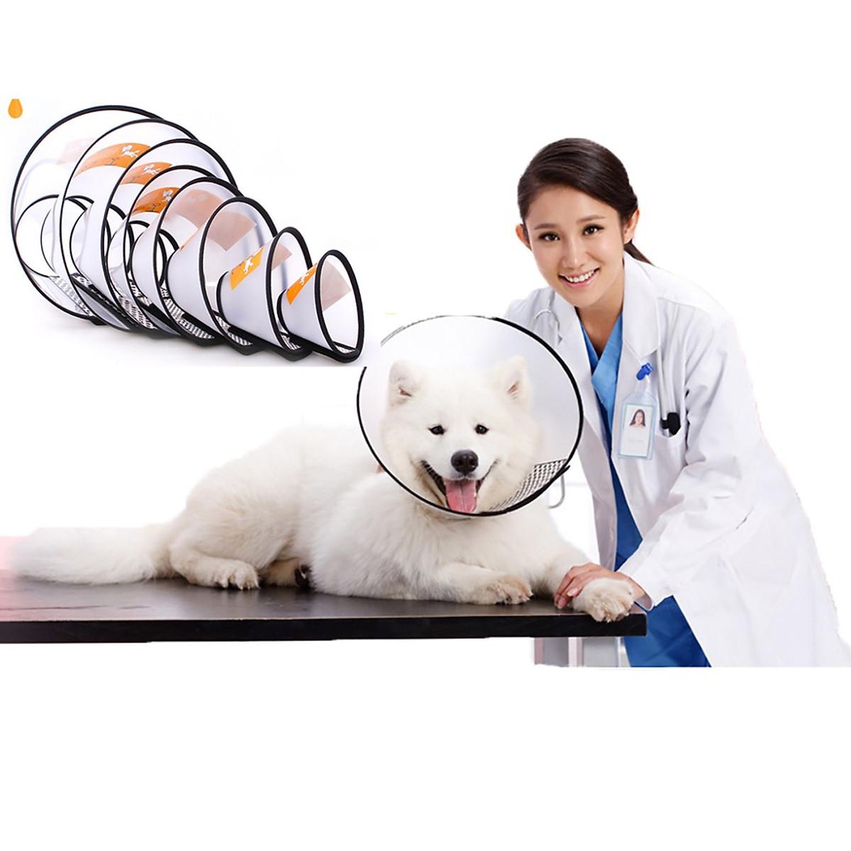 Loa Chống Liếm Cho Chó Mèo Trong Suốt Đủ Size