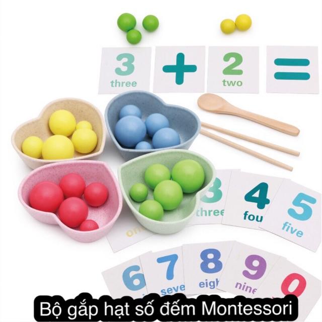 Đồ chơi gỗ Montessori bộ gắp hạt số đếm