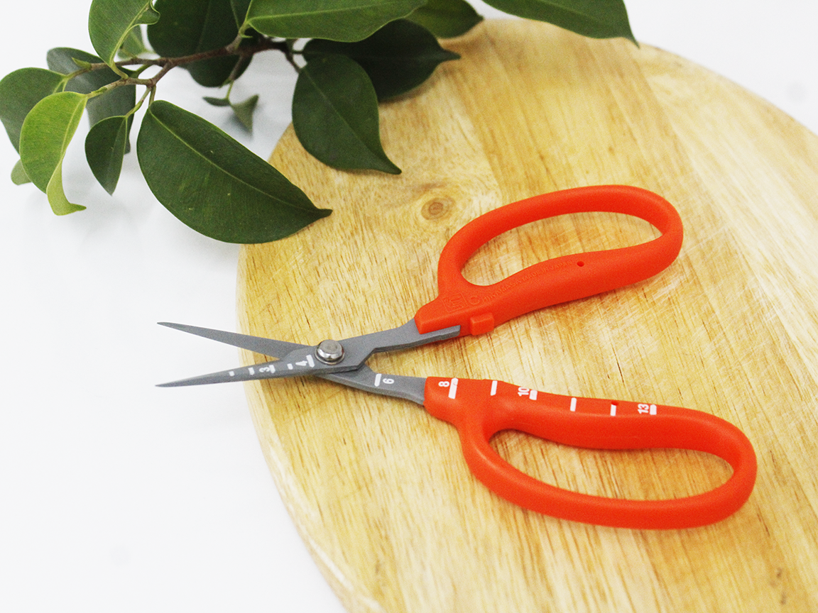 Kéo cắt nho cao cấp Nhật Bản Chikamasa B-500SLF
