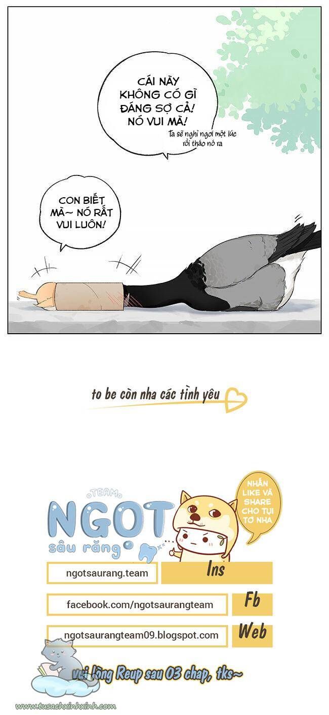 chim sẻ gọi ngỗng trời chapter 3 7