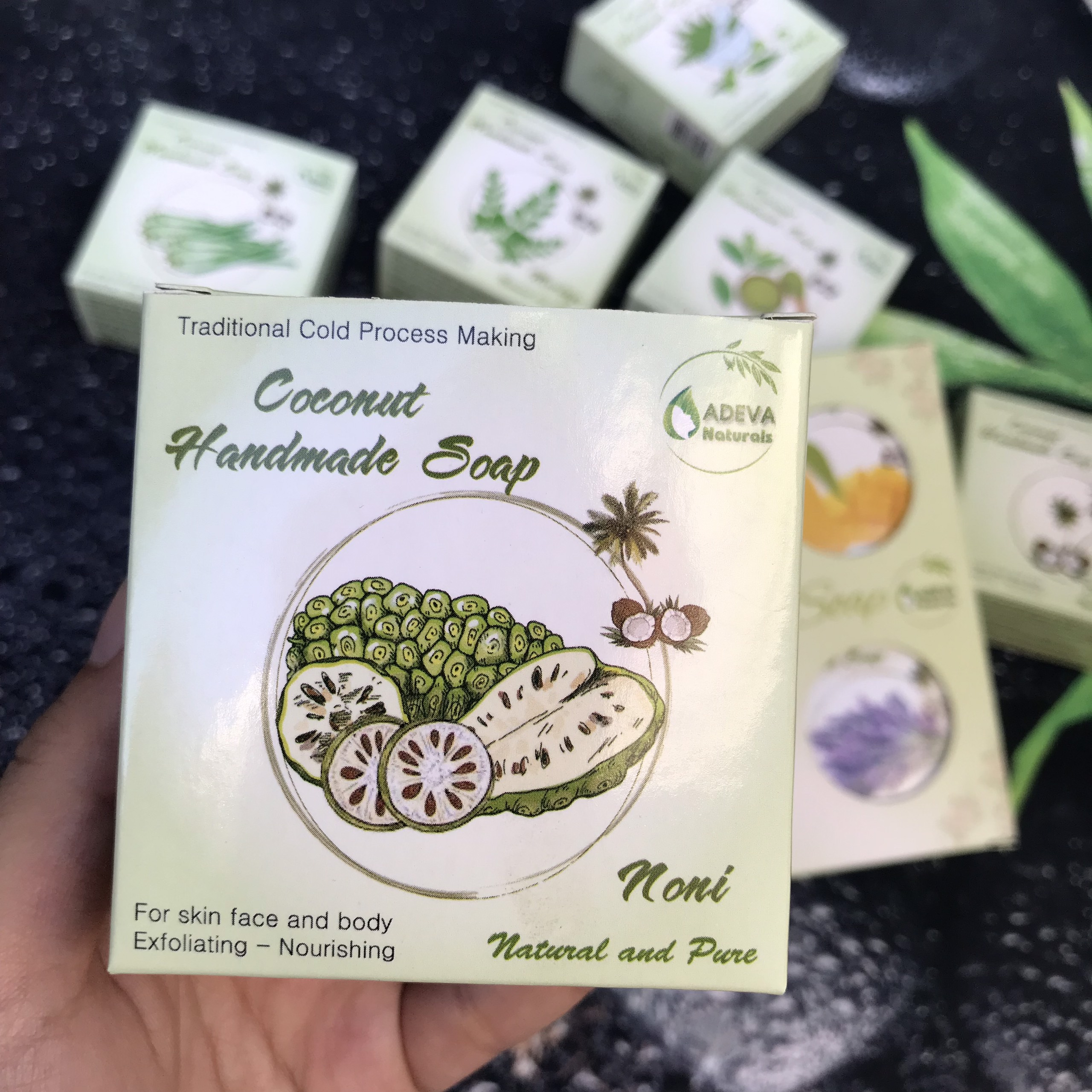 Xà phòng handmade Trái nhàu Noni - Set 6 soap - Adeva Naturals