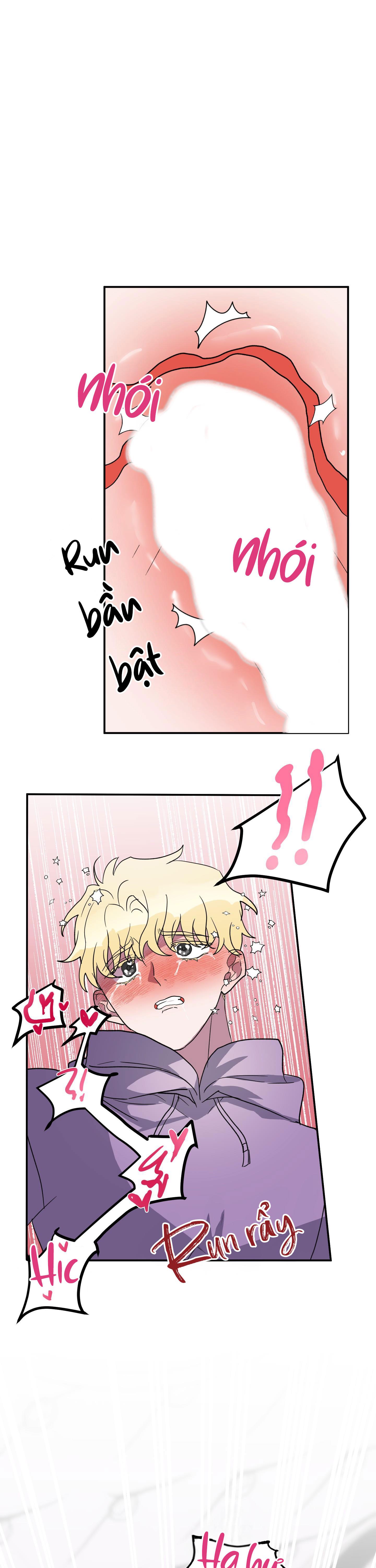 cá mập và cô dâu thỏ chapter 3 16