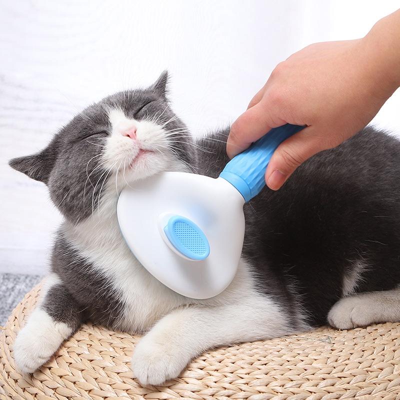 LƯỢC CHẢI LÔNG CAO CẤP CÓ NÚT ĐẨY LÔNG DƯ