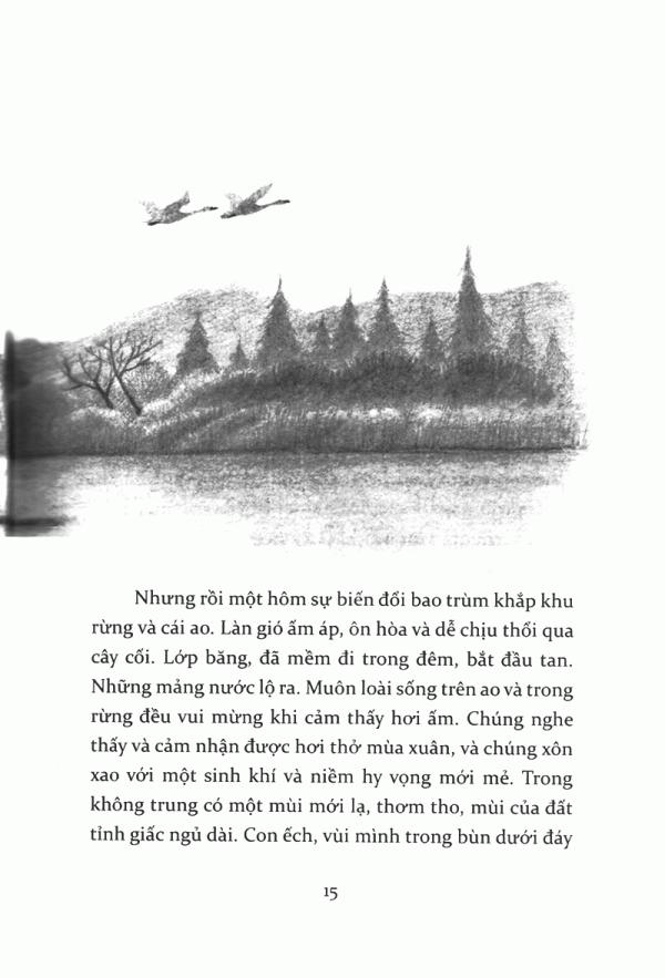 Tiếng Kèn Thiên Nga