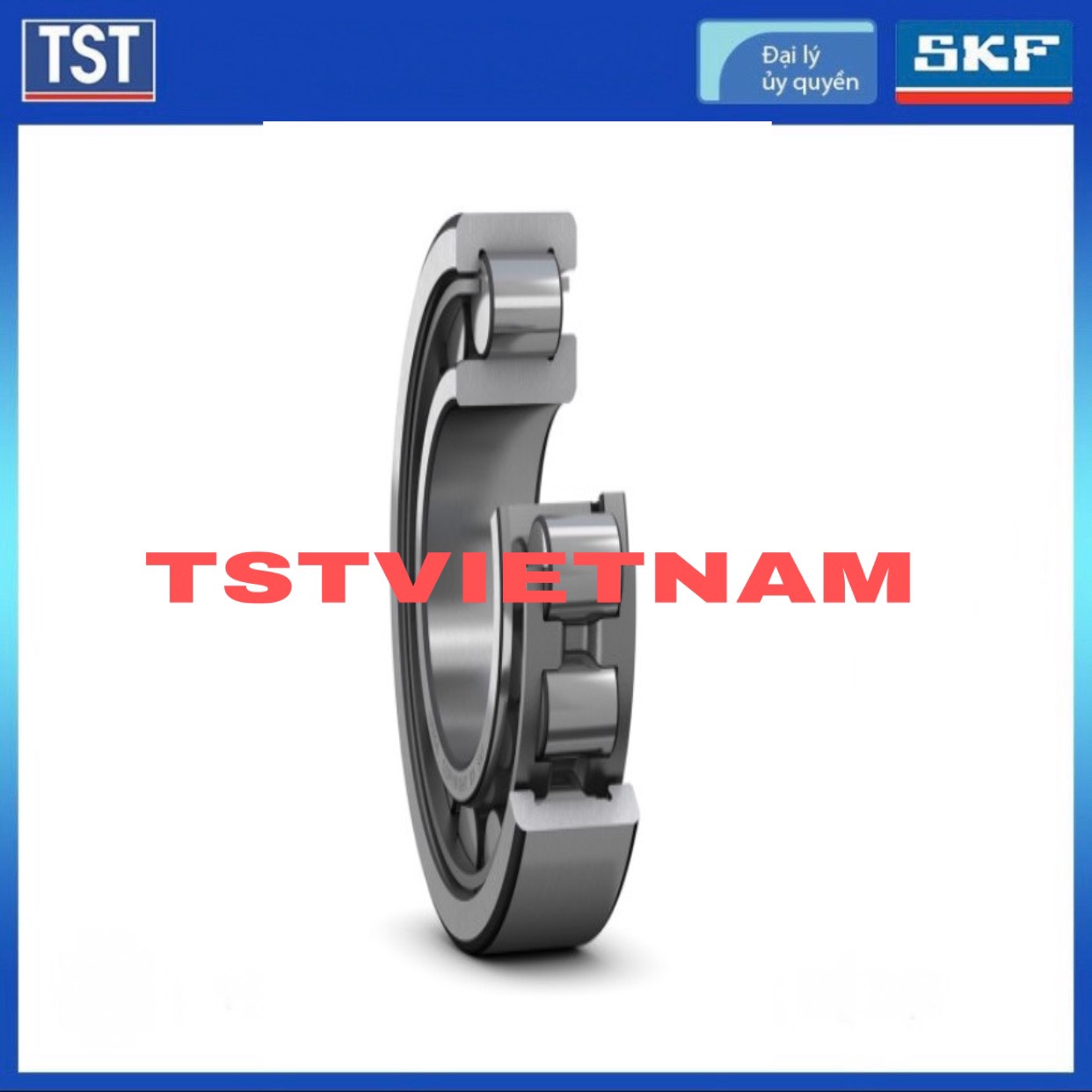 Vòng bi SKF NJ 312 ECJ