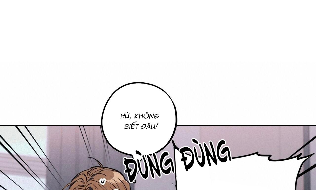 chàng dâu nhà họ kang chapter 20 48