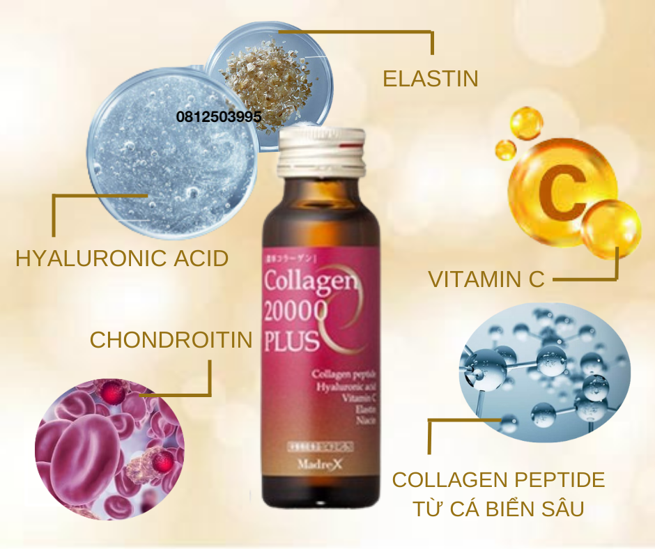 Combo 2 hộp Collagen 20000 Plus Ex.beaute Nhật Bản