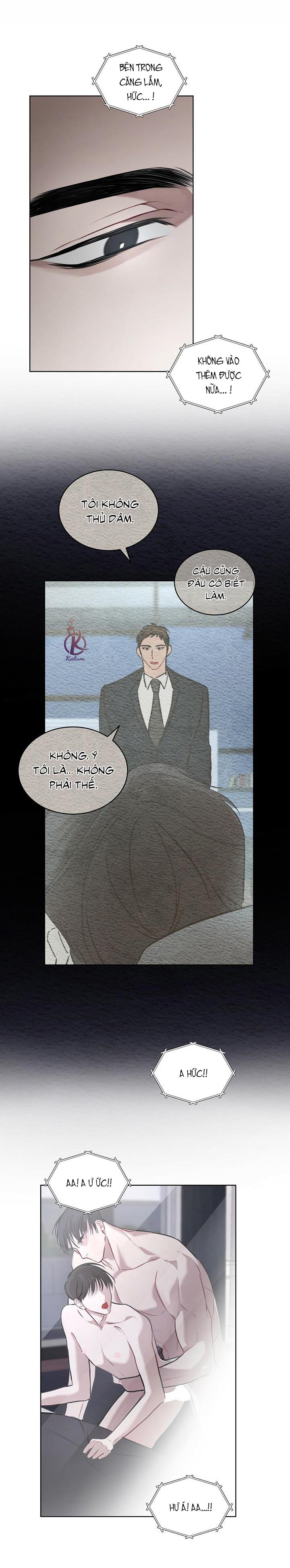 hình thái khởi sinh chapter 16 20