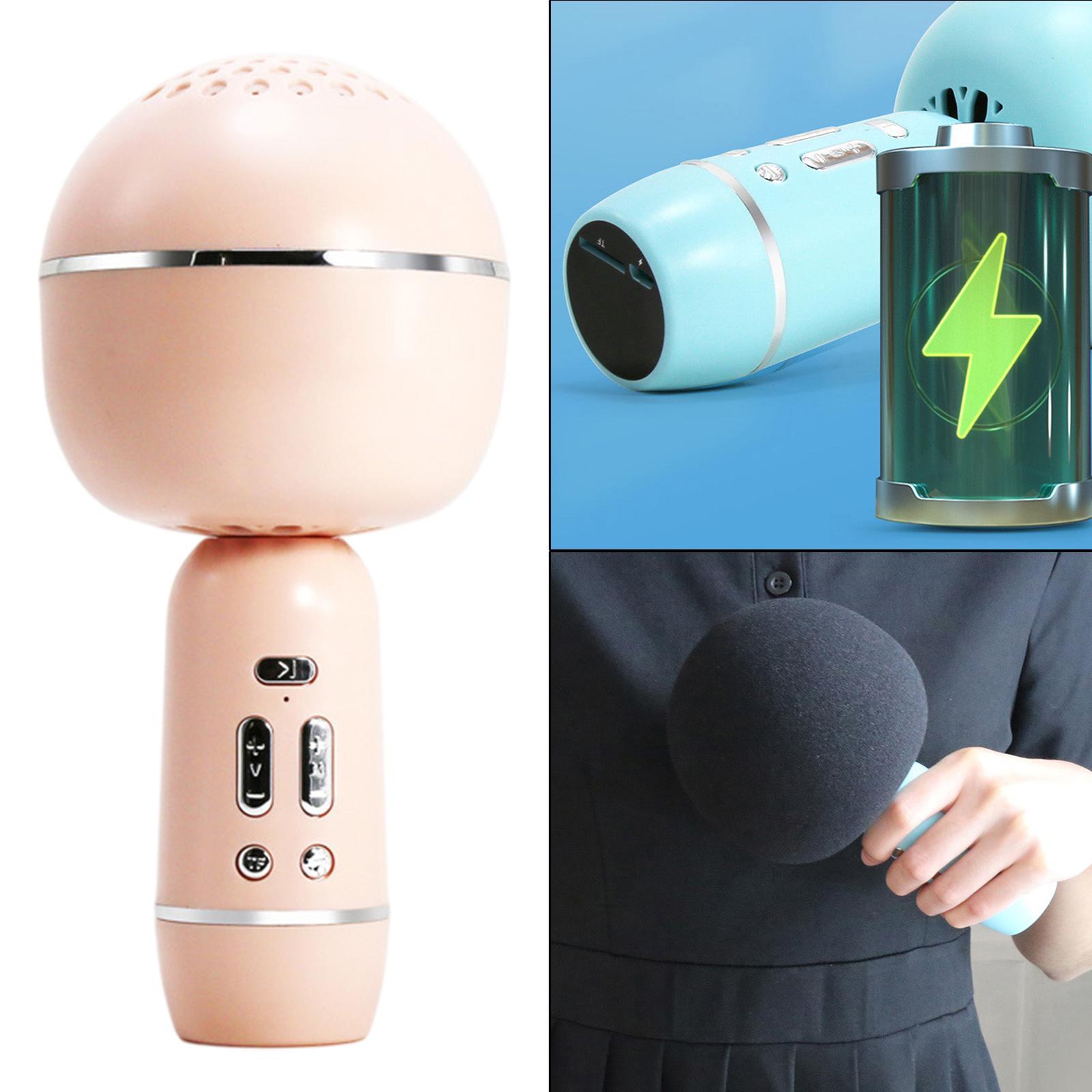 Portable Wireless Microphone Karaoke Speaker Karaoke Machine