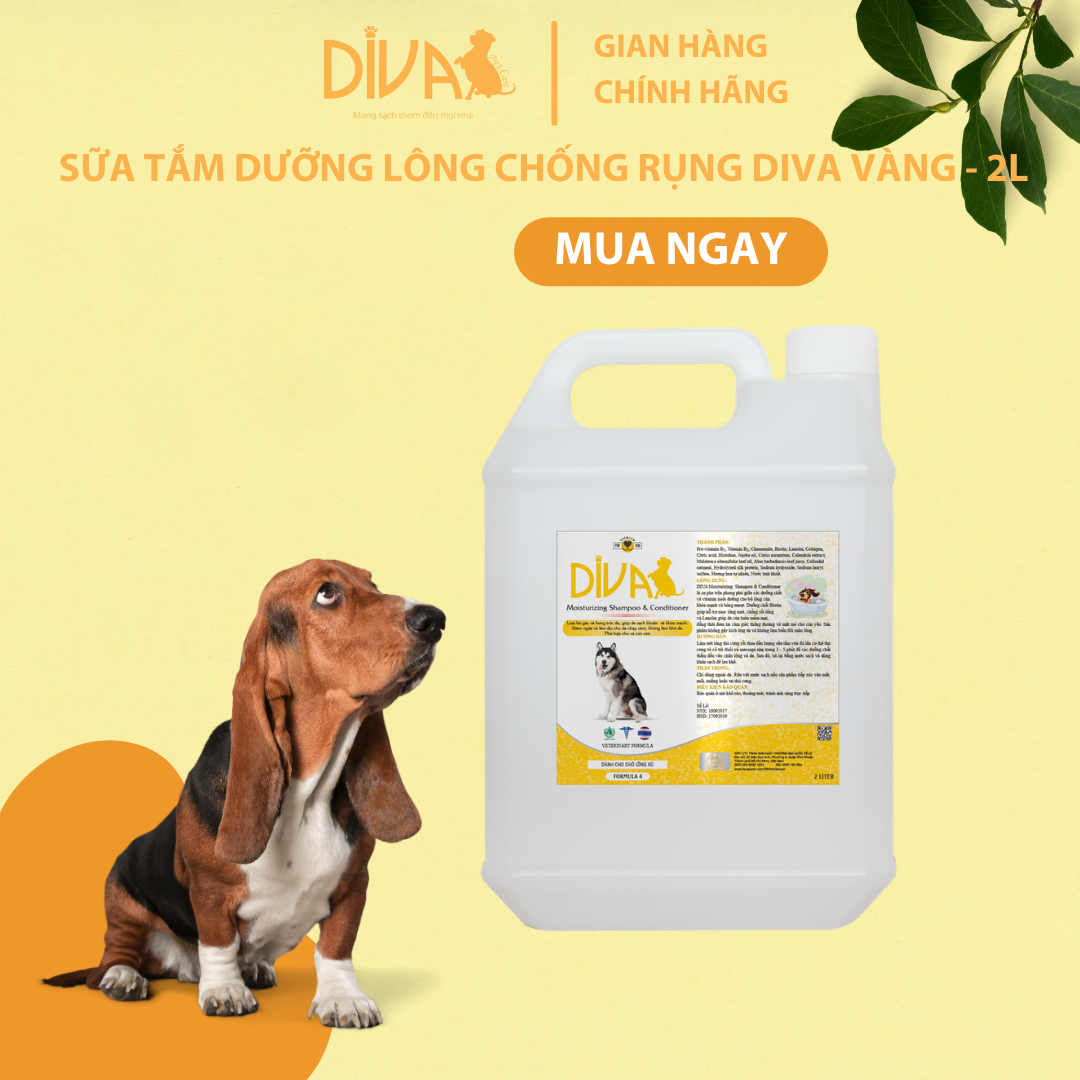 SỮA TẮM CHÓ DƯỠNG LÔNG GIẢM RỤNG DIVA VÀNG 2L