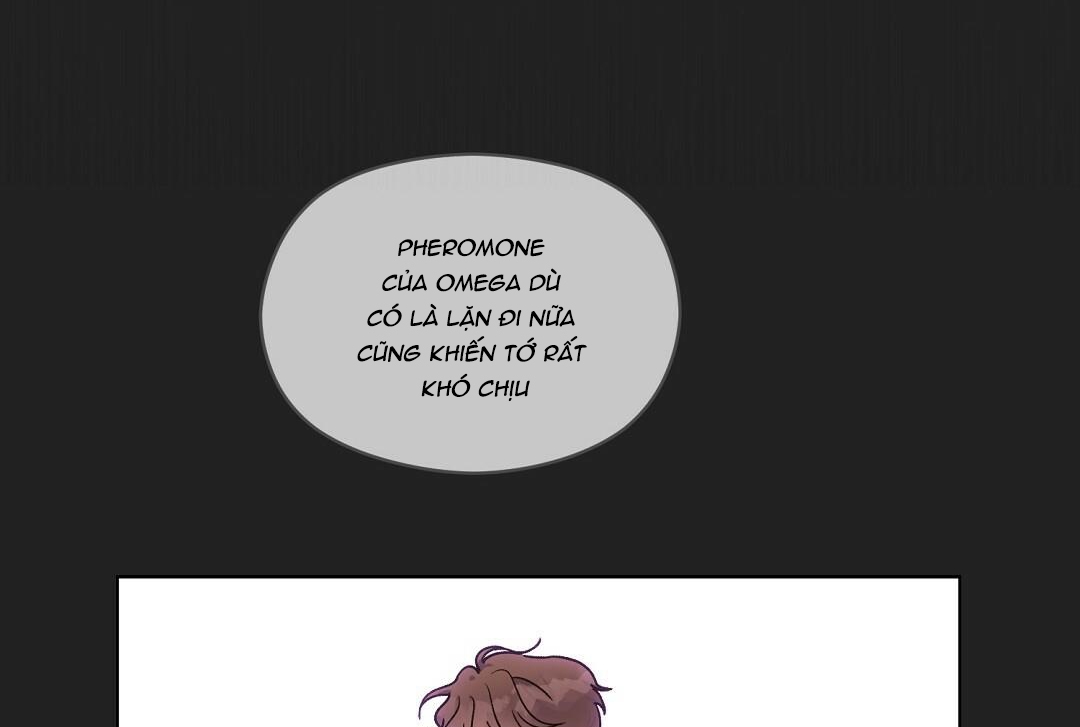 phức cảm tự ti của omega chapter 17 184