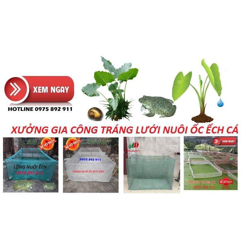 Tráng nuôi ốc nhồi mới nở - mã 2x1x0,6 | uy tín chất lượng