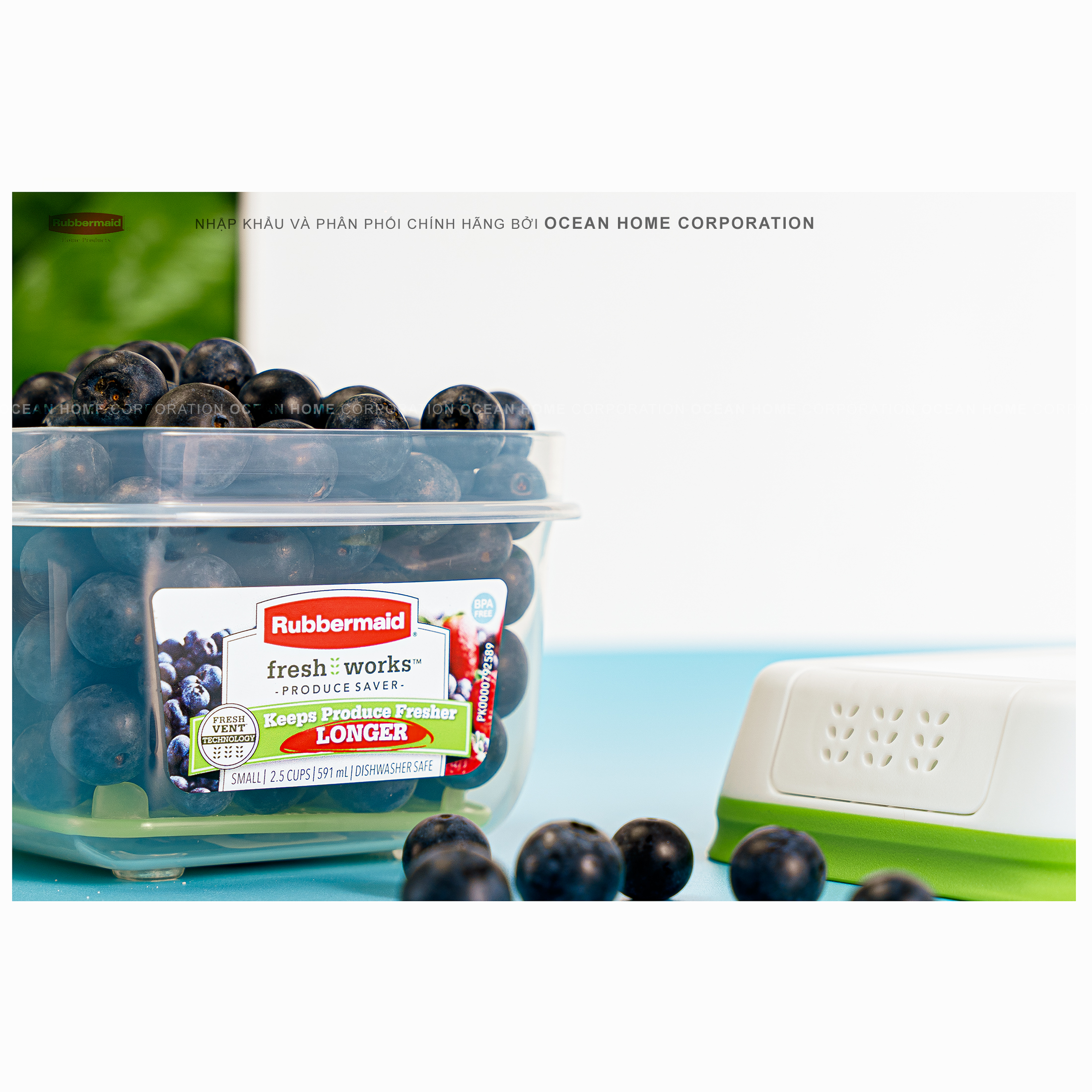 Hộp bảo quản rau củ quả RUBBERMAID 591ml