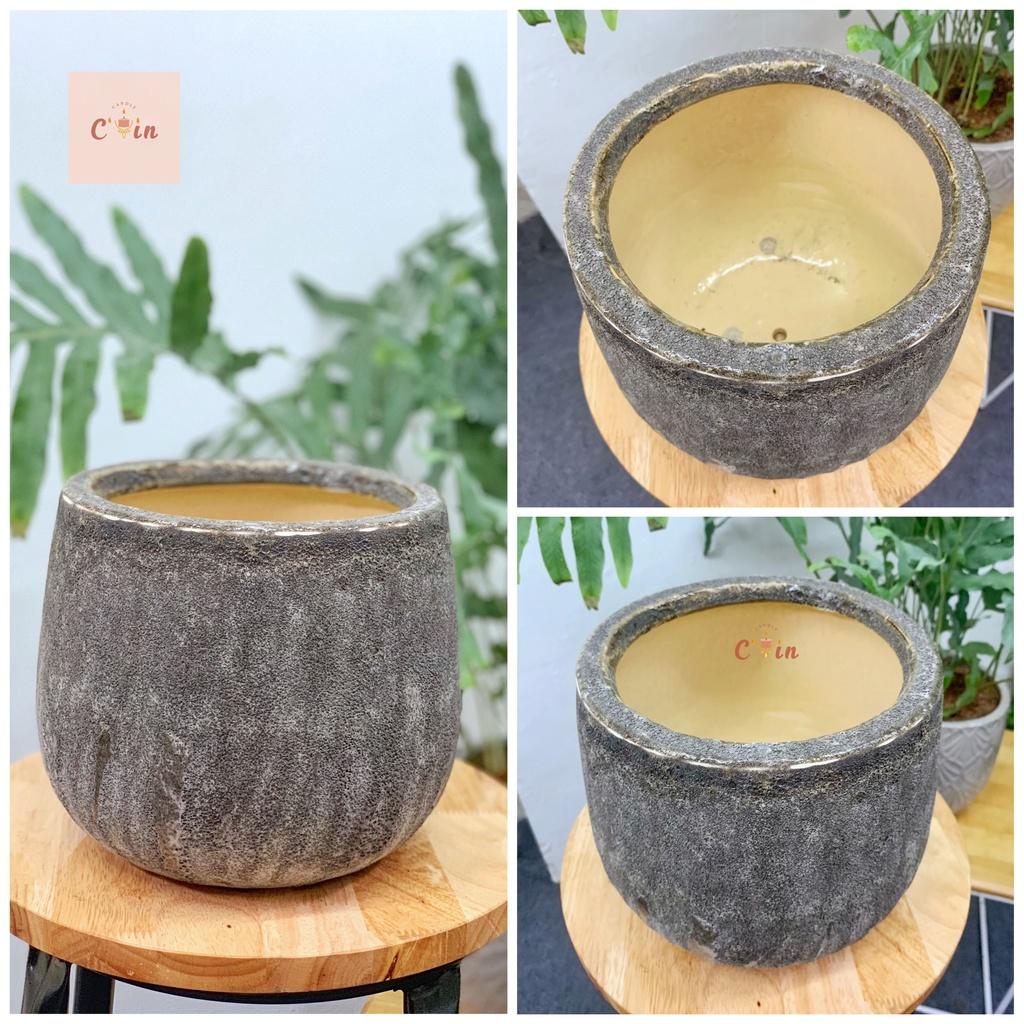 CHẬU CÂY Gabi, Alatic, gáo dừa các size - Chậu hoa Trồng cây Decor Trang Trí - Gốm Xuất Khẩu