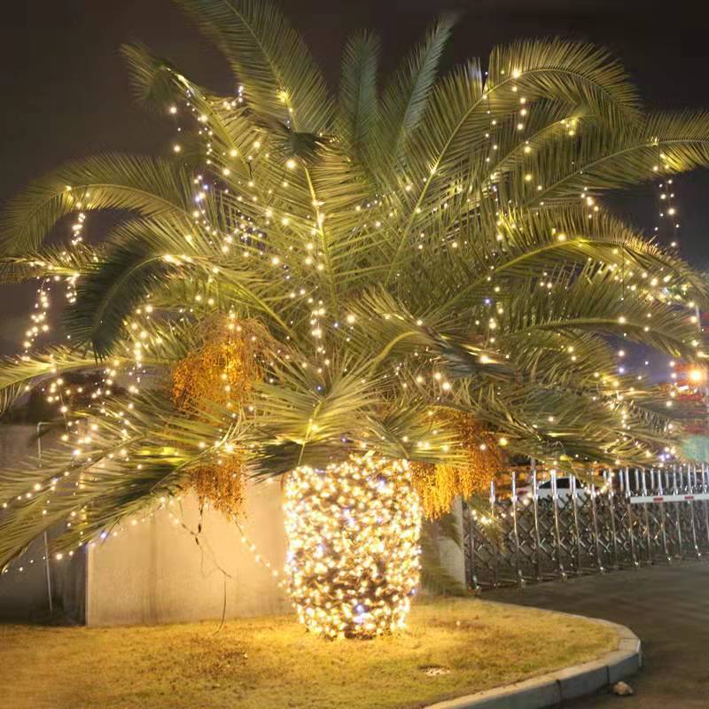 Dây Đèn Led Trang Trí 20m Có Nháy Chớp, Trang Trí Nhà, Sân Vườn, Giáng Sinh