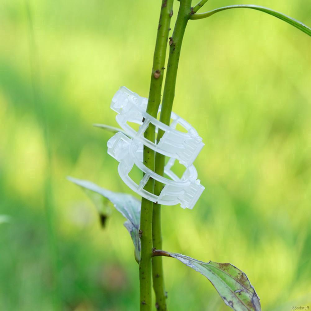 Bộ 50 kẹp cây bền, hỗ trợ làm vườn