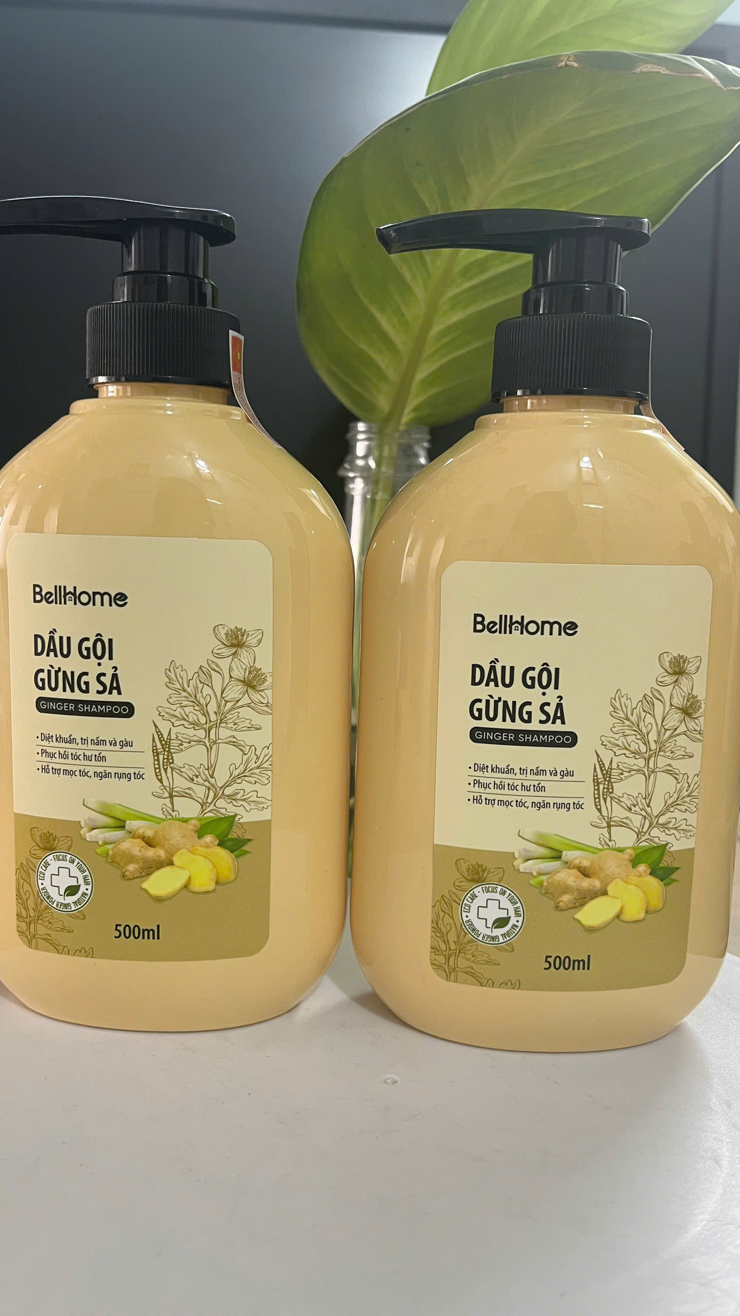 Dầu Gội Gừng  Công nghệ sinh học Kích Mọc Tóc Bell Home 500ml