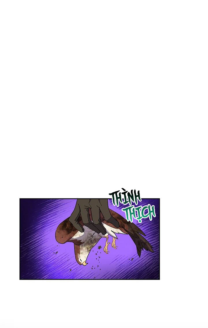 công chúa của loài chim chapter 12 2