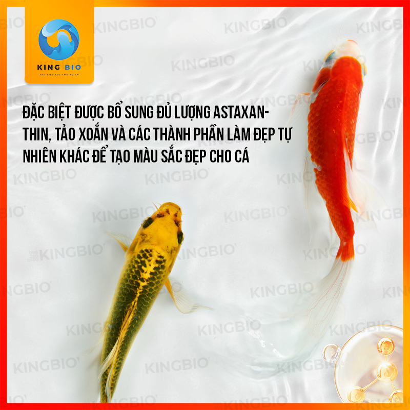 Cám Beesn Koi Food thức ăn cân bằng dinh dưỡng, giàu tảo xoắn và Vitamin cho cá KOI và cá chép khác
