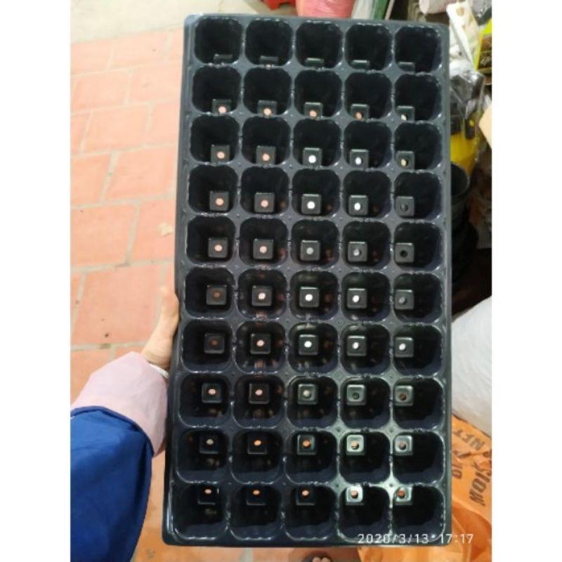 Combo 50 khay ươm hạt giống, cây con