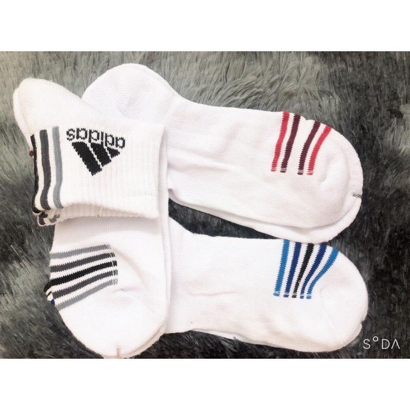 (combo5 đôi)Tất vớ nam tất nữ cổ lửng vải cotton thấm hút thoáng mát màu trắng kẻ nhiều mầu - Chùm buôn tất h59