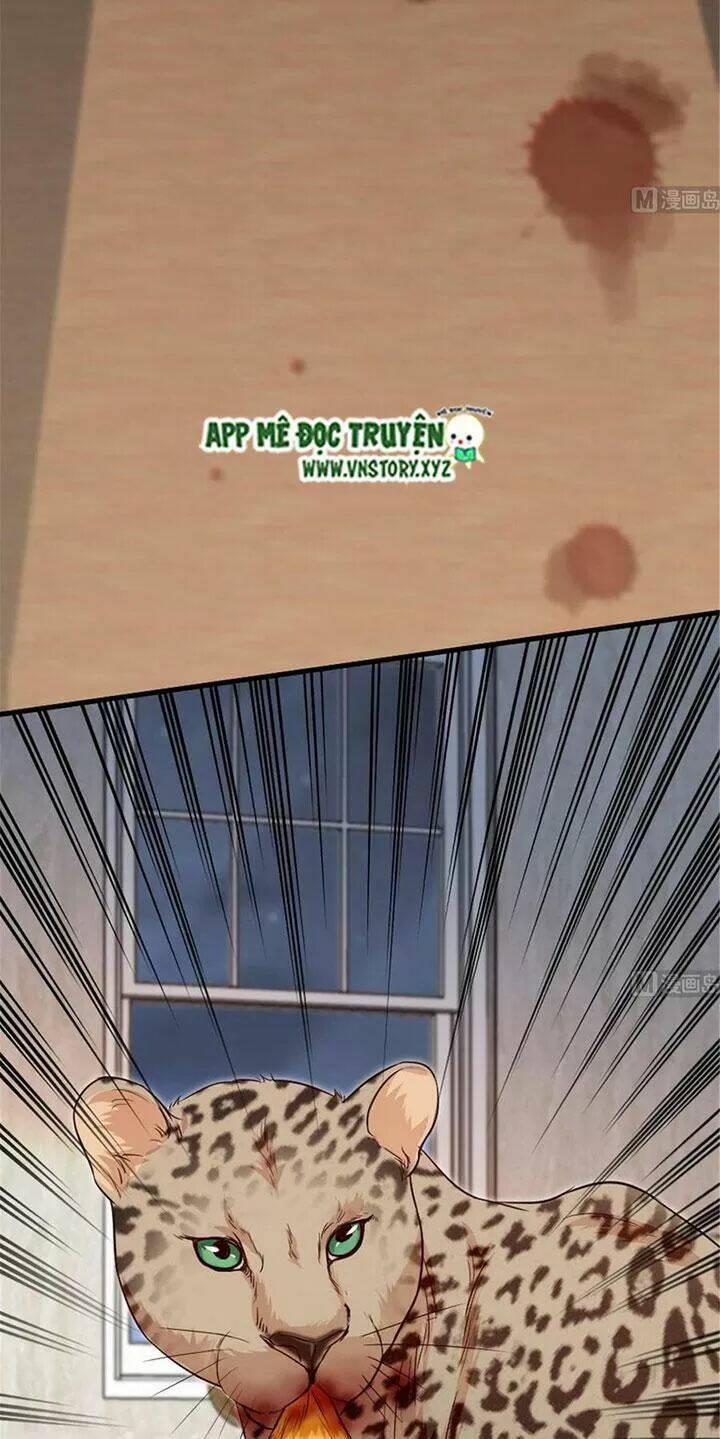 thiên hậu trở về chapter 187 3