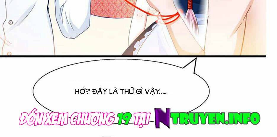 tôi bị gấu trúc nhìn trúng rồi chapter 18 43