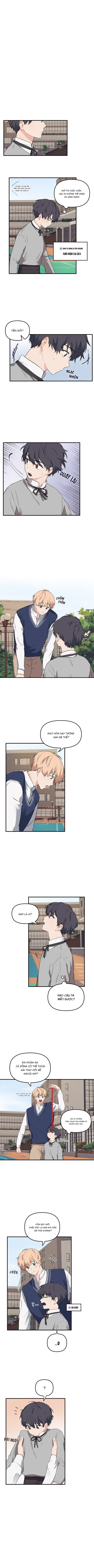 blood and love chapter 3 6