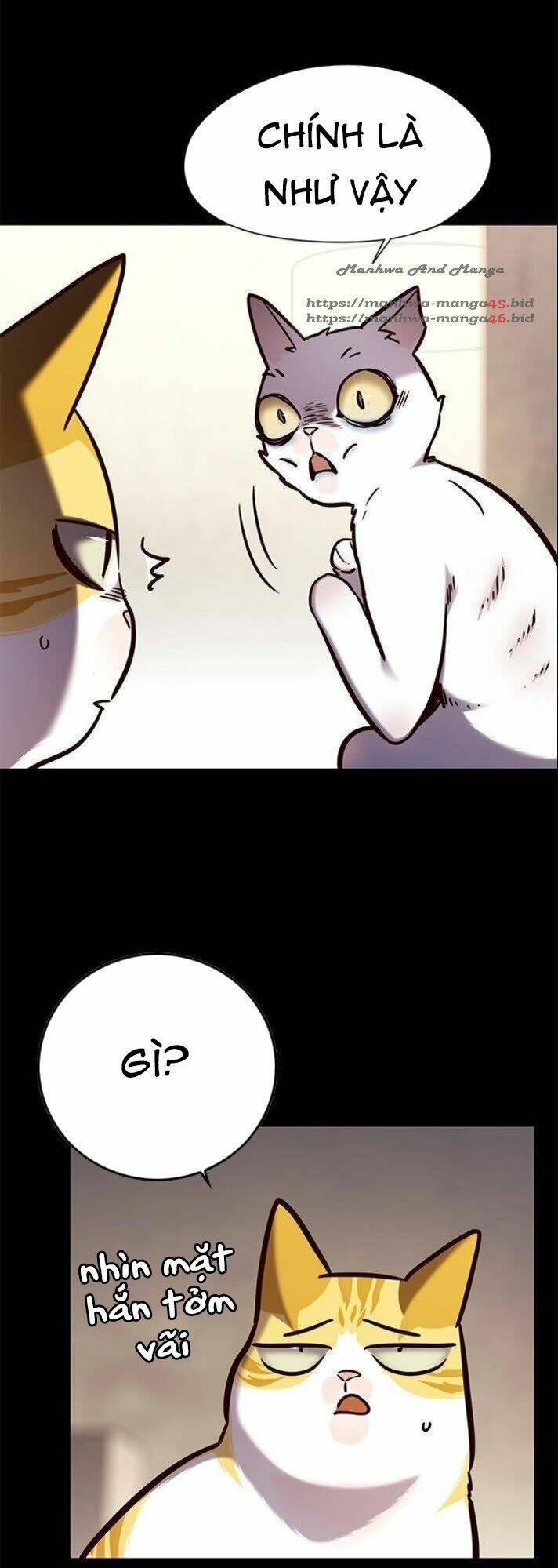 biến thân thành mèo chapter 142 10