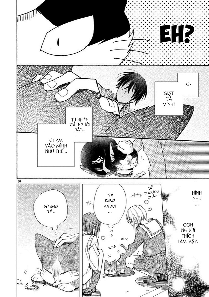 doukyonin wa hiza, tokidoki, atama no ue chapter 3.5 11