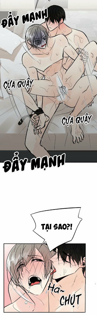 trú ẩn - haven chapter 16 19