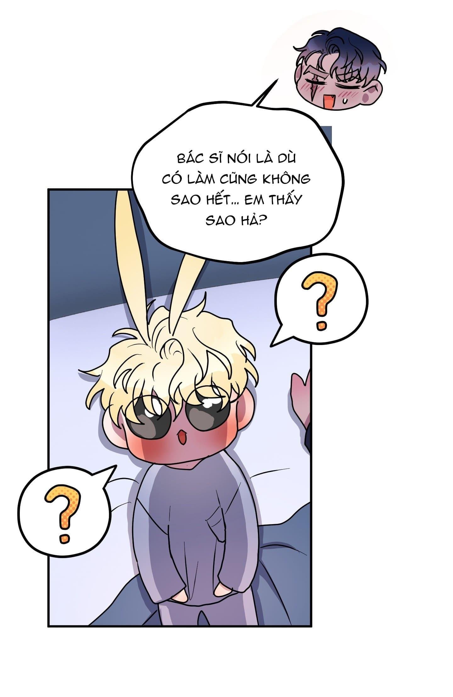 cá mập và cô dâu thỏ chapter 48 16