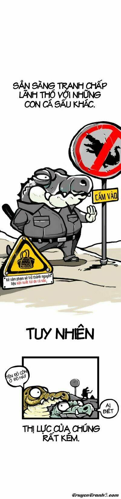 earth, human, and animal chapter 6 7