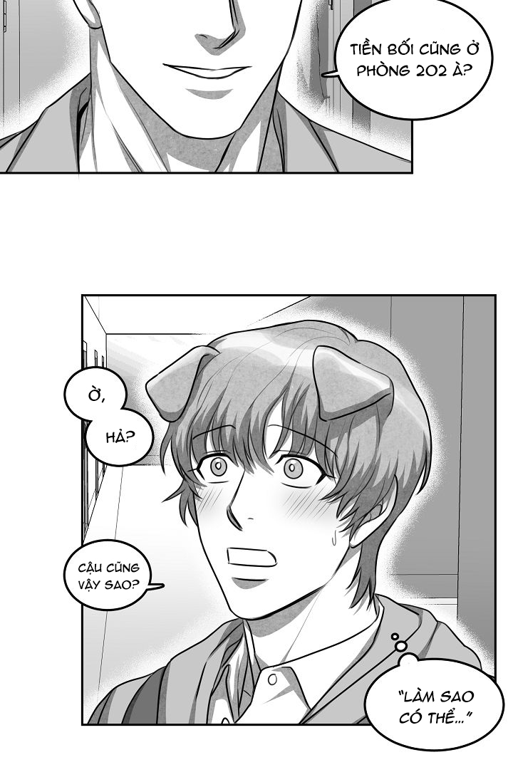 khi cún biết yêu chapter 4 37