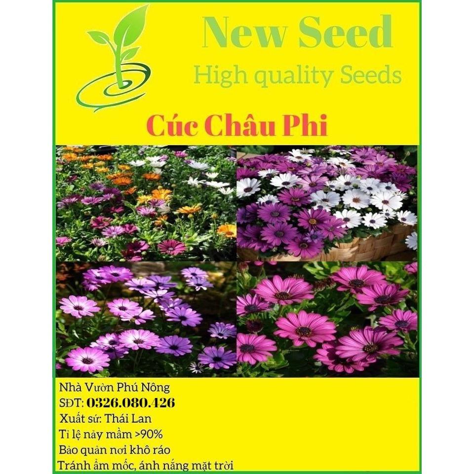 Hạt Giống Hoa Cúc Châu Phi F1 loại siêu dễ trồng dễ chăm sóc kháng sâu bệnh