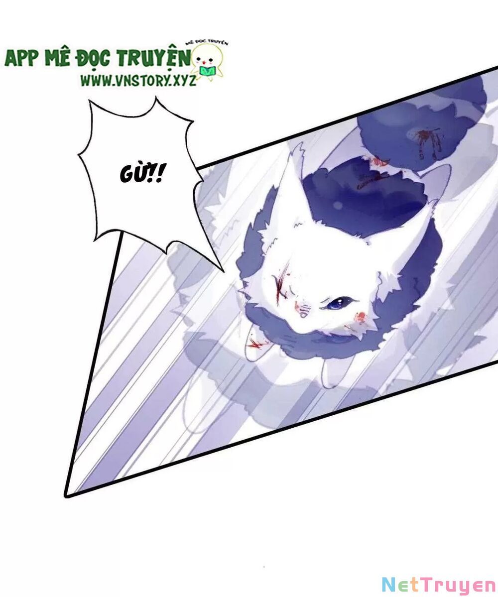 lại bị bệnh chiều chuộng quấn lấy chapter 65 54